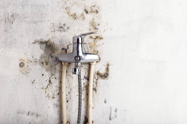 Best Basement Mold Remediation in Weatherford, OK