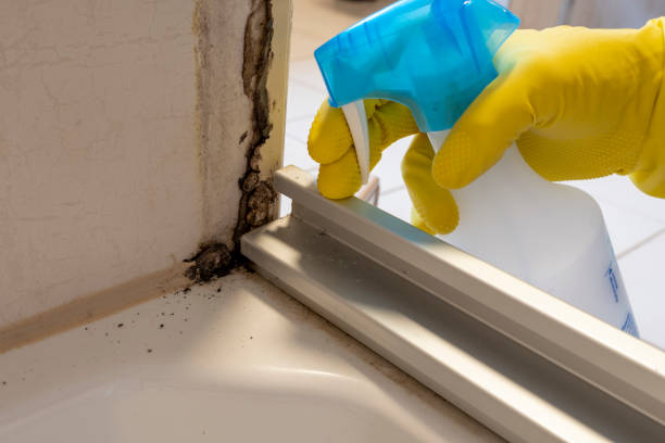 Best Residential Mold Remediation in Weatherford, OK