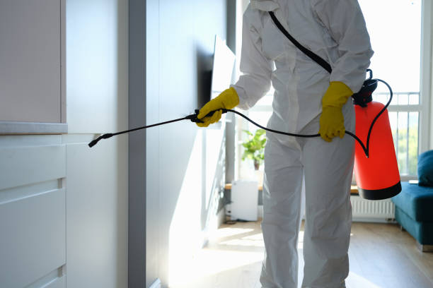 Best Industrial Mold Remediation in Weatherford, OK