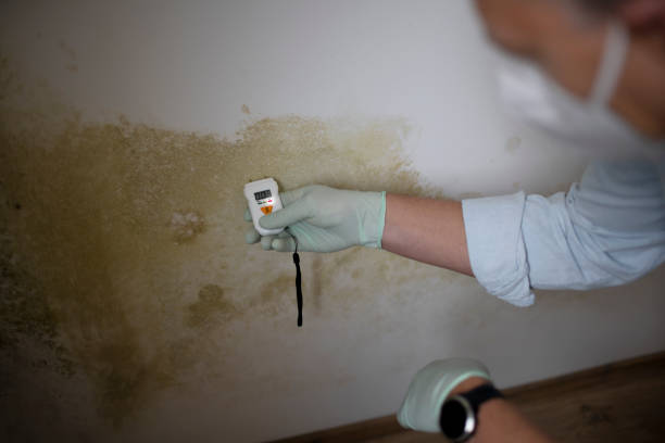 Best Mold Remediation for Specific Building Types in Weatherford, OK