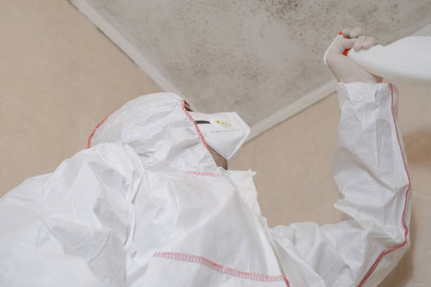 Best Health and Safety Mold Remediation in Weatherford, OK