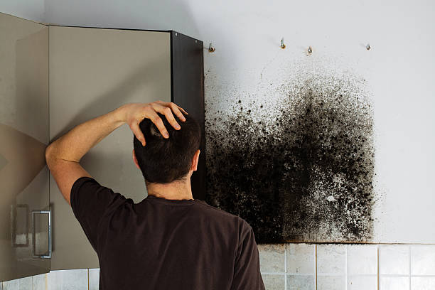 Weatherford, OK Mold Remediation Company