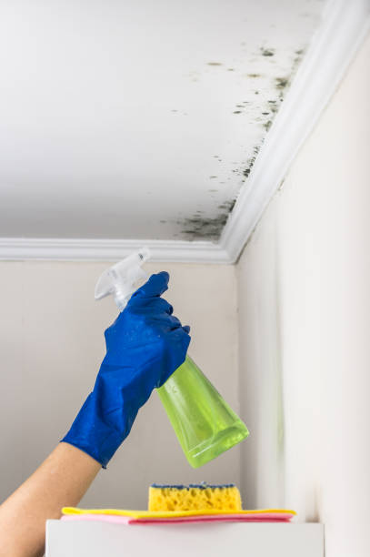 Best Crawl Space Mold Remediation in Weatherford, OK